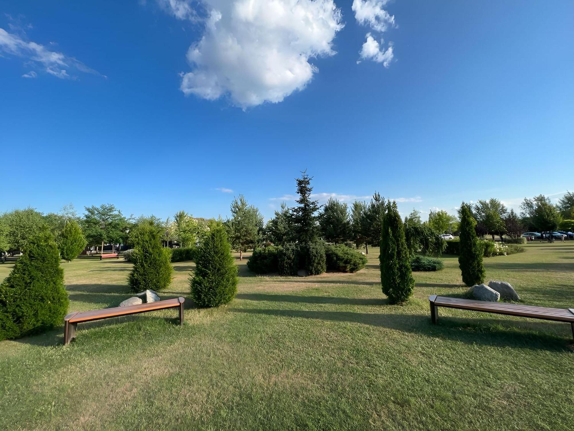 Vila Cu Mesteceni Къмпина Екстериор снимка